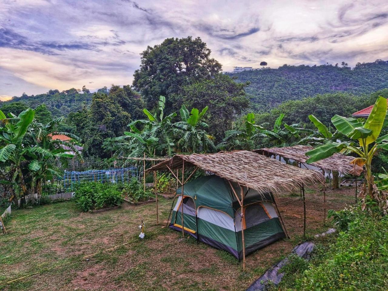Samui Camping Farm Laem Sor Exteriör bild